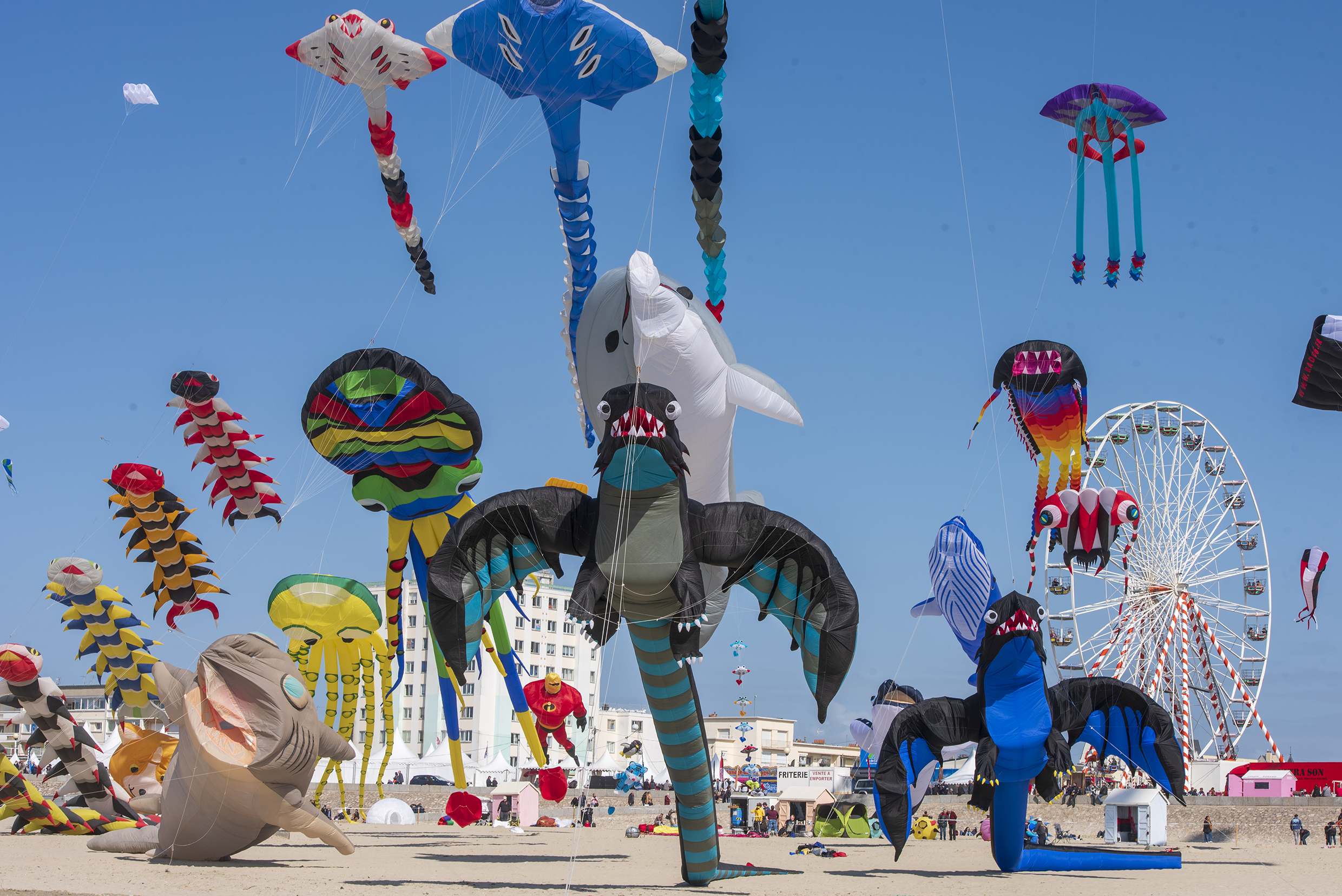 Rencontres Internationales de Cerfs-Volants 2026