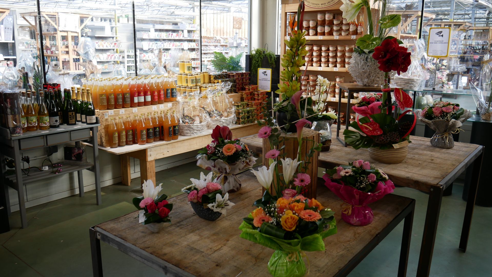 Jardinerie Tulipe