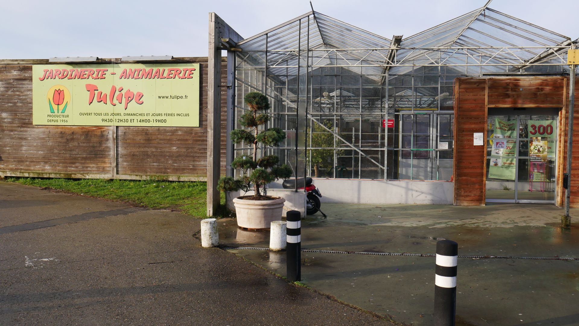 Jardinerie Tulipe